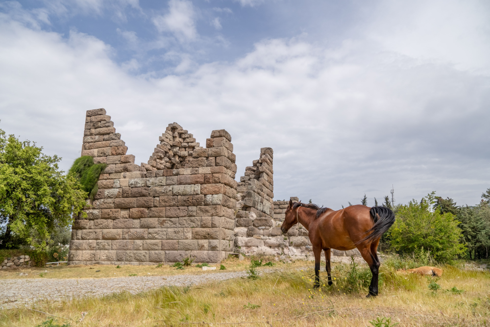 Doğa Yürüyüşü (trekki̇ng) - Ulaşli Halidere - Fotoğraf 6